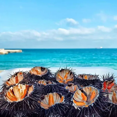Colori Del Salento Presicce