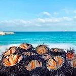 Colori Del Salento Presicce